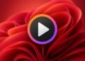 تصویری از Windows Media Player Legacy