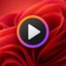 تصویری از Windows Media Player Legacy