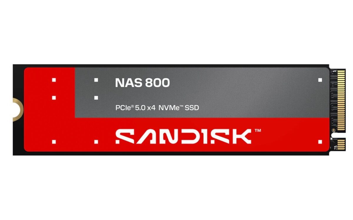 تصویری از SSD سندیسک NAS900